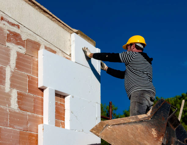 Best Soundproof Insulation Installation  in Doolittle, TX