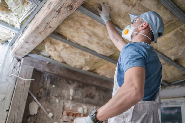  Doolittle, TX Insulation Contractor Pros