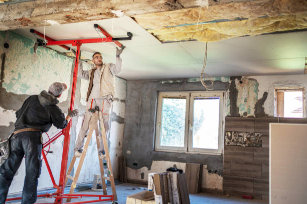 Best Professional Insulation Contractor  in Doolittle, TX