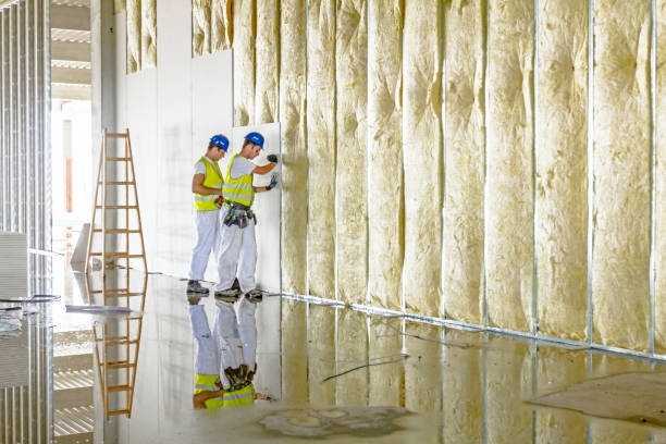 Best Insulation for New Construction  in Doolittle, TX